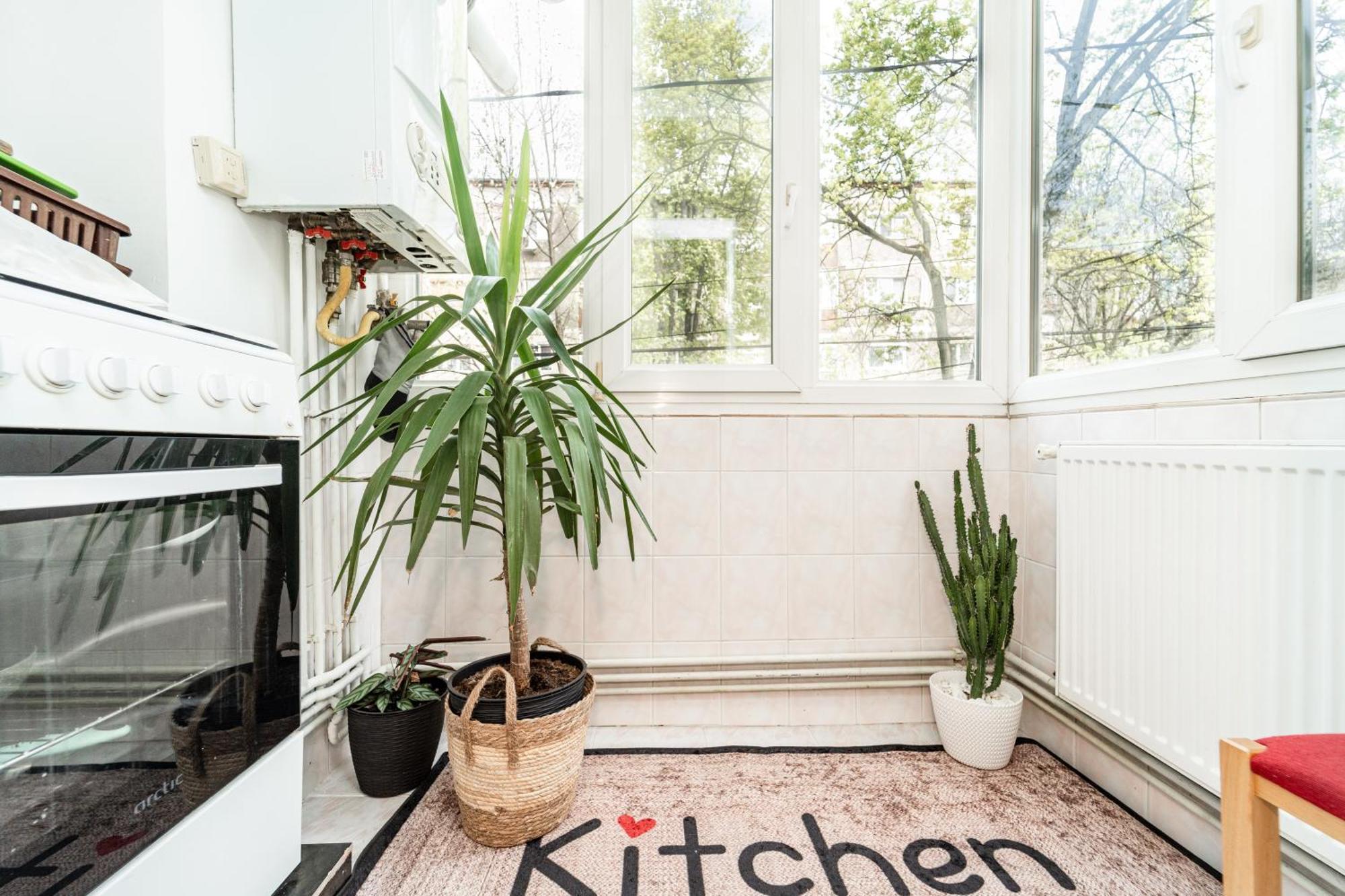 Appartement Cozy Artists Timişoara